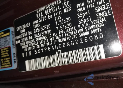 2022 Kia Telluride S from USA, damaged, VIN 5XYP64HC6NG226080